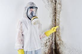 Best Biohazard Mold Removal  in Eagle Mountain, UT